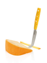 Dutch Cheese Knife Cheesy (24 pcs)