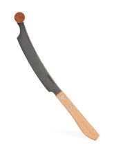 Dutch Cheese Knife mini Geneva (12 pcs)